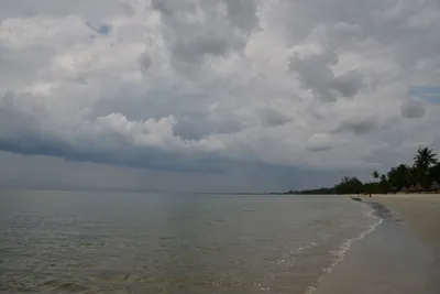 DSC_5429 (Large).JPG